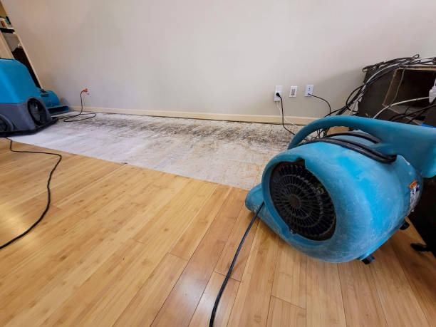 Reliable Water Damage Restoration contractor in Mount Pleasant, IA by Hirex Water Damage