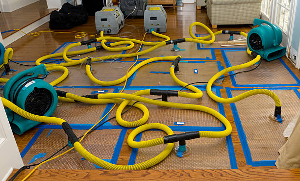 Professional Water Damage Restoration technician working in Mount Pleasant, IA